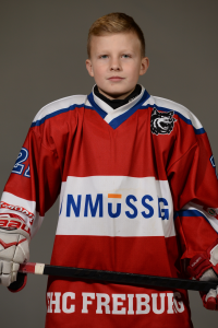 Nikita Kolomejtsev HP