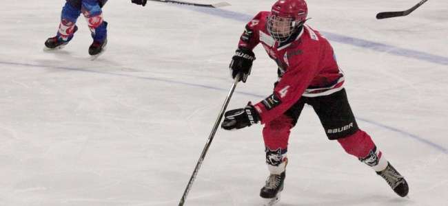 Maxim Skrylov (Foto: Frank Nieberle) Maxim 2020 10 19 1