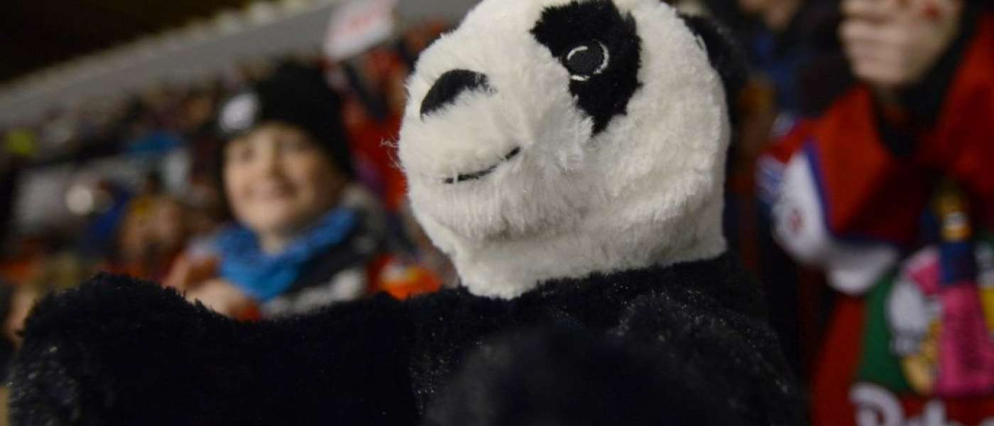 Es ist wieder Plüschzeit in der FSH (Foto: Seeger) toss